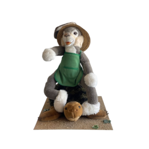 Lapin assis sur tortue
