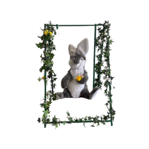 Lapin sur balancelle