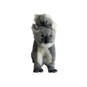Maman koala avec bebe