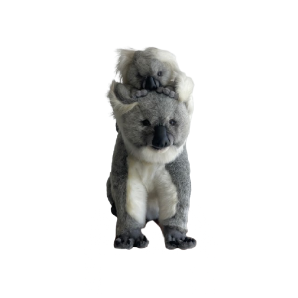 Maman koala avec bebe