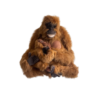 Maman orang outang et baby