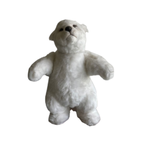 Ours blanc debout