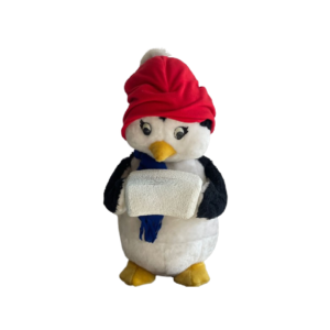 Pingouin bonnet rg Cube de glace