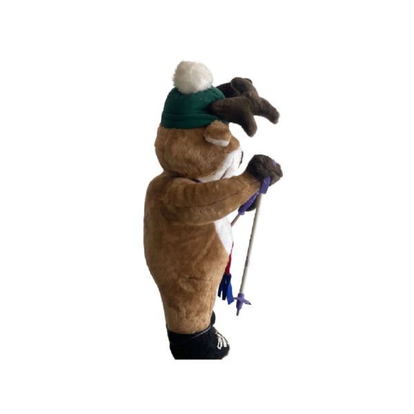 Renne rigolo skieur – Image 2