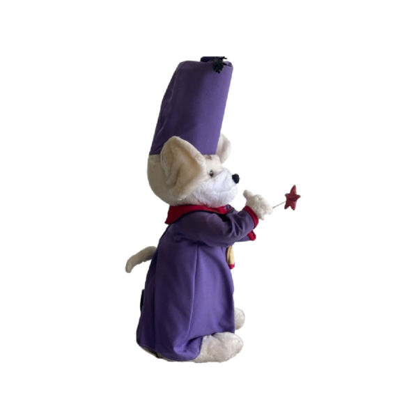 Souris costumes magicien Fille – Image 2