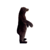 Ours brun debout – Image 2