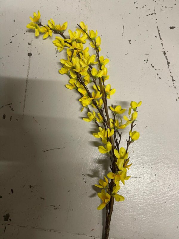 Branche de forsythia – Image 3