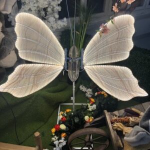 Papillon lumineux