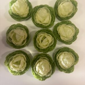 légumes choux vert