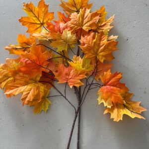 Erable orange branche