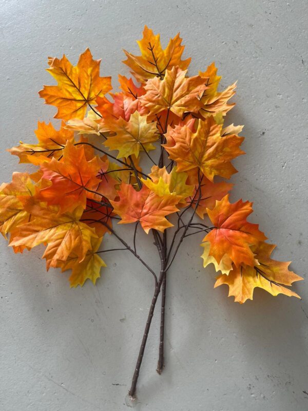 Erable orange branche