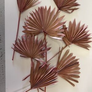 Palm rosé