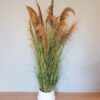 Herbes de pampas en branches – Image 4