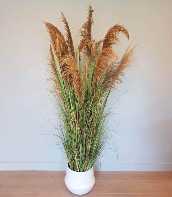 Pampa Spray