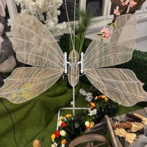 Papillon lumineux