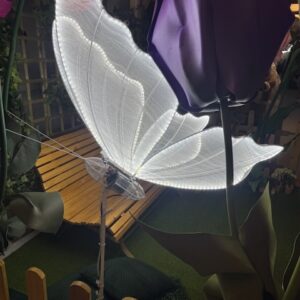 Papillon lumineux