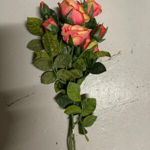 Rose rose mélangé