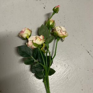 Vintage English Rose rose