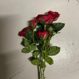 Rose rouge