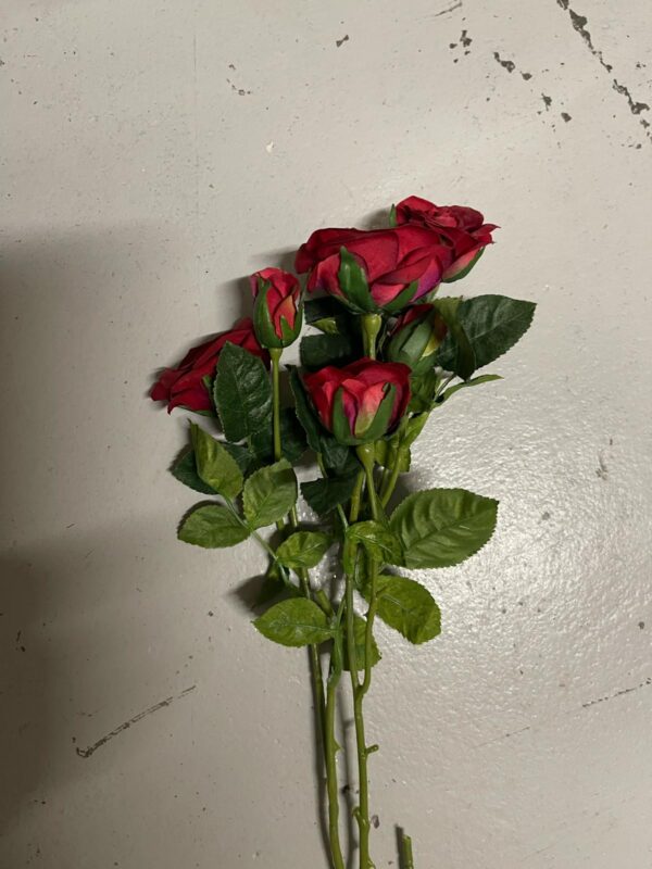 Rose rouge