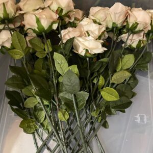 Vintage English Rose rose pale