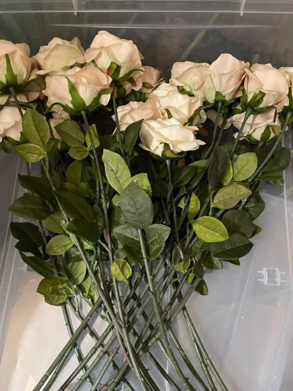 Vintage English Rose rose pale