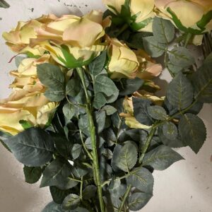 Rose vintage jaune pale