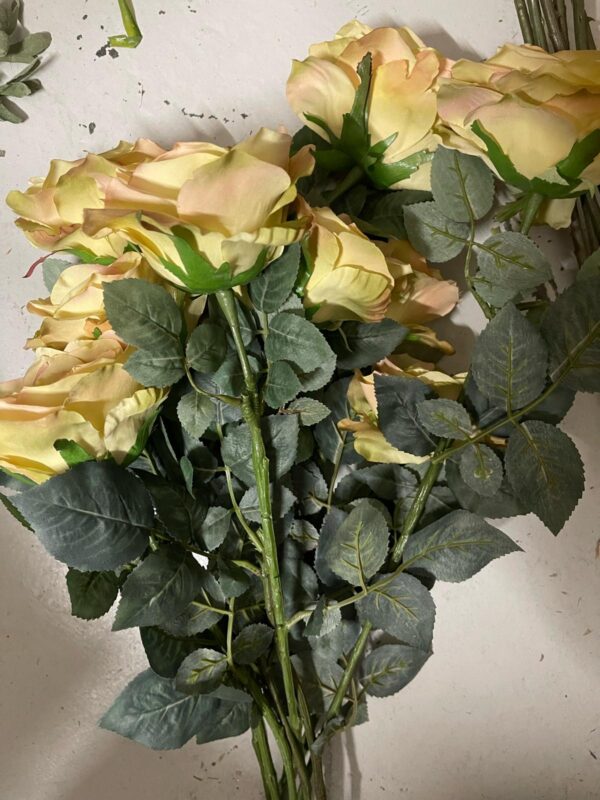 Rose vintage jaune pale