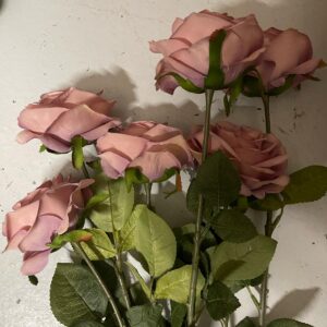 Rose vintage vieux rose