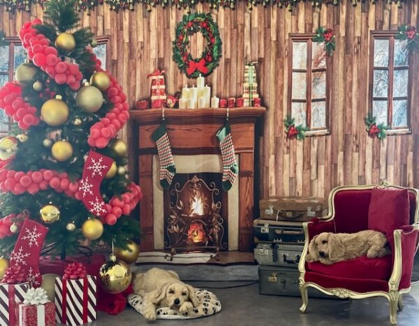 Backdrop Noël – Image 2