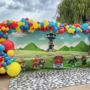 Backdrop fond Pat Patrouille rigide