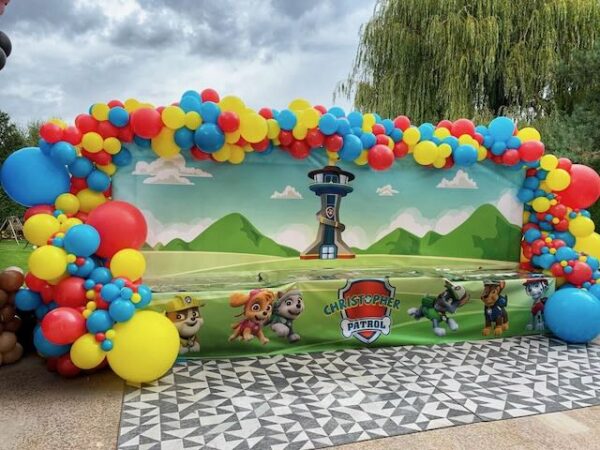 Backdrop fond Pat Patrouille rigide