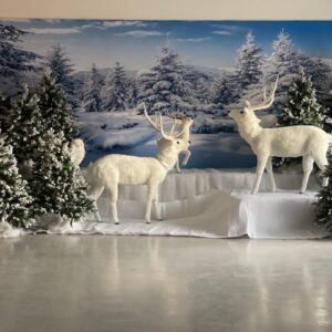 Backdrop hivers et neige