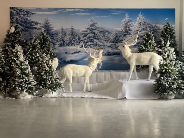 Backdrop hivers et neige