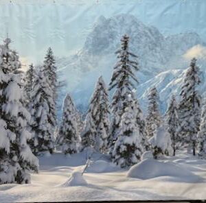 Backdrop hivers et neige bâche rigide