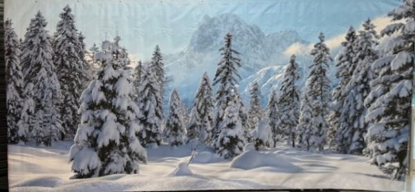 Backdrop hivers et neige bâche rigide