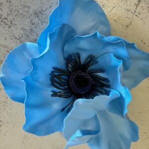 Anémone bleu clair