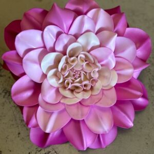 Dahlia rose