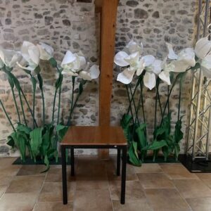 Perce Neige