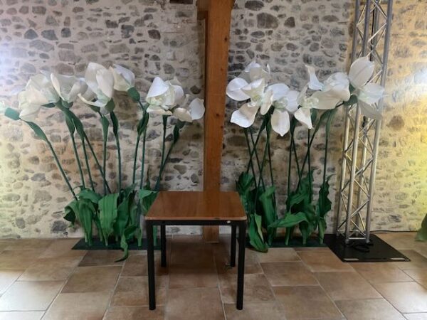 Perce Neige