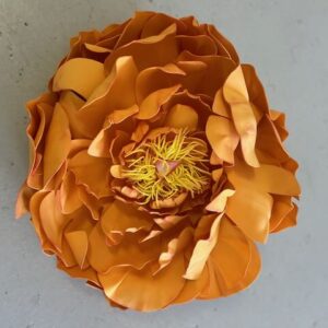 Pivoine orange