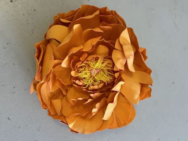 Pivoine orange
