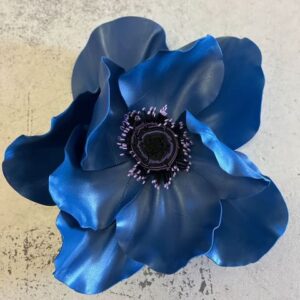 Anémone bleu