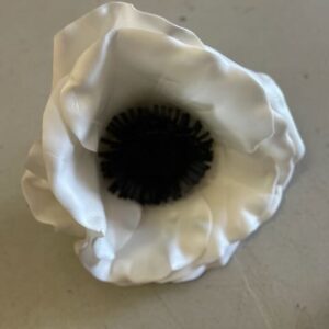 Coquelicot Blanc