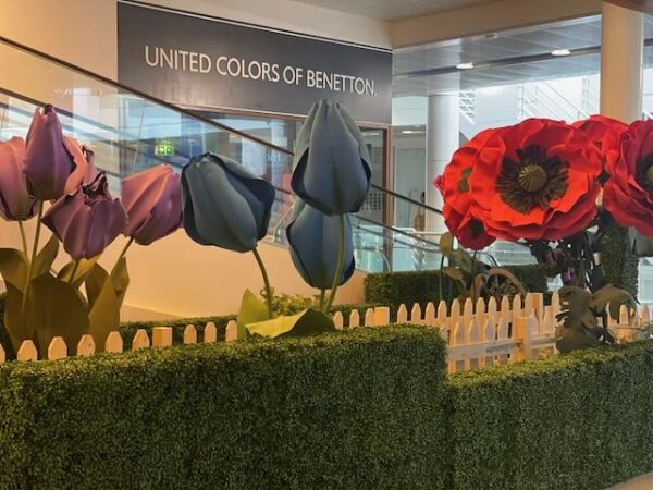 Coquelicot – Image 2