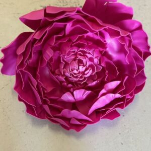 Pivoine fuchsia