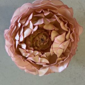 Pivoine vieux rose