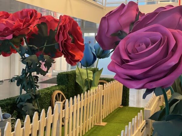 Coquelicot – Image 5