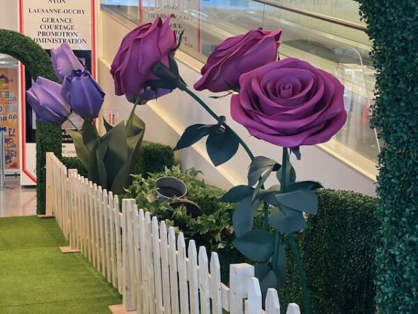 Rose rose