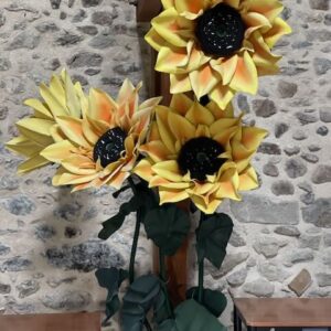 tournesol